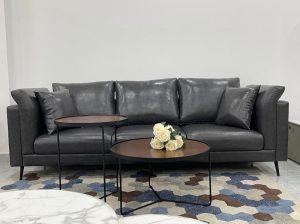 Sofa Băng Cao Cấp 352T